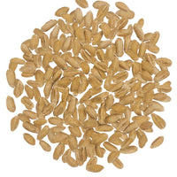 Spelt Berries