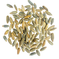 Rye Berries| Certified Glyphosate Residue Free | 18 LB