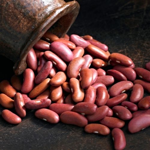 is kidney beans good for kidney