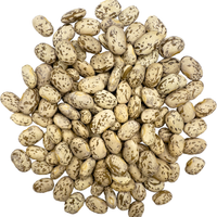 Pinto Beans | 1 LB | Certified Glyphosate Residue Free