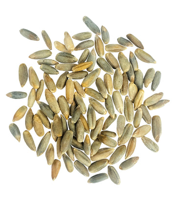 Rye Berries| Certified Glyphosate Residue Free | 18 LB