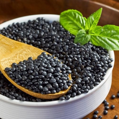 how to sprout black lentils beluga lentils caviar lentils
