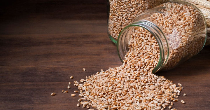 wheat berries cooking
