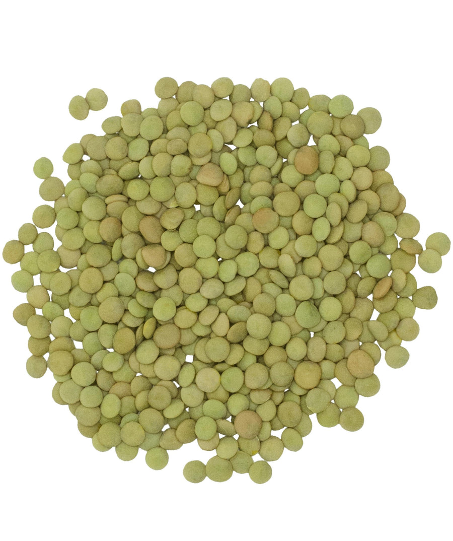 Green Lentils |  25 LB
