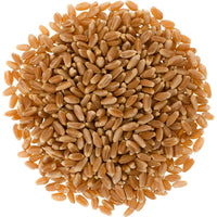Palouse Brand Hard Red Spring Wheat Berries, 100 LBS (4 - 25 LB Bags)