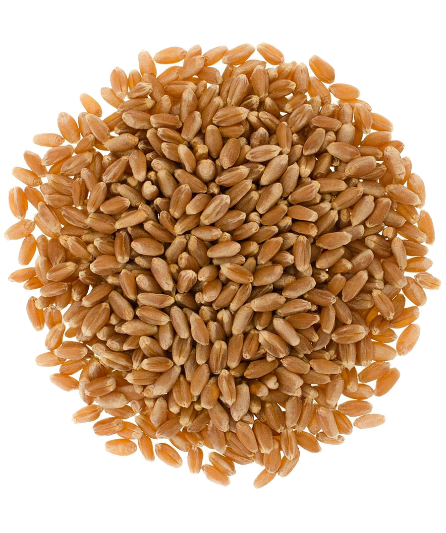 Palouse Brand Hard Red Spring Wheat Berries, 100 LBS (4 - 25 LB Bags)