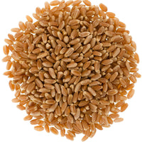 Hard Red Winter Wheat | 25 LB Bucket
