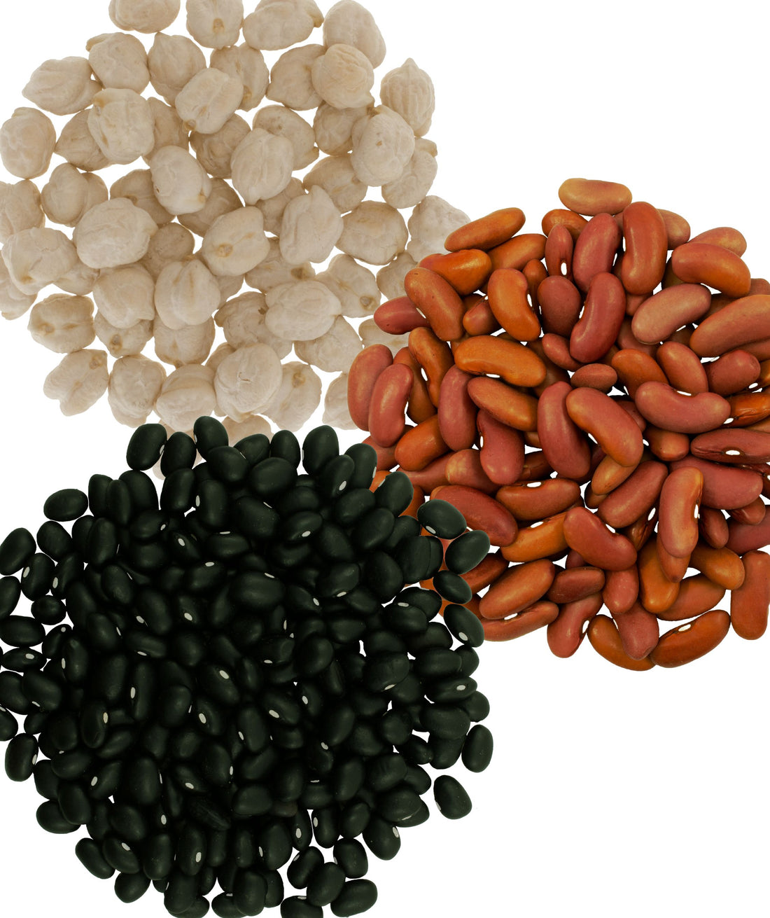 Clear Creek and Palouse Brand 11 LB Bundle: 4 LBS Black Beans, 4 LBS Light Red Kidney Beans, 3 LBS Chickpeas