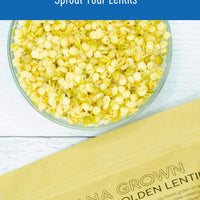 How to Sprout Idaho Grown Golden Lentils