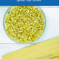 How to Sprout Montana Grown Green Lentils