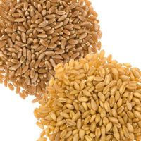Palouse Brand Wheat Pack: Soft White, Hard Red Spring Wheat Berries, 10 LBS (5 lbs each)