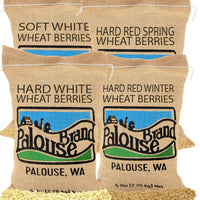 Wheat Berry Pack: Hard White Wheat Berries, Hard Red Spring, Hard Red Winter and Soft White Wheat Berries